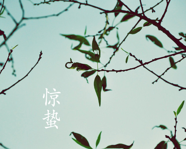 描写惊蛰的古诗1