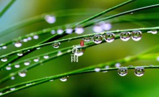 谷雨节气农耕谚语1