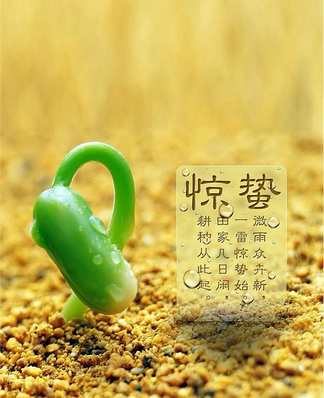 北方惊蛰吃什么蔬菜好1