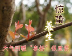 惊蛰时节老人如何养生1