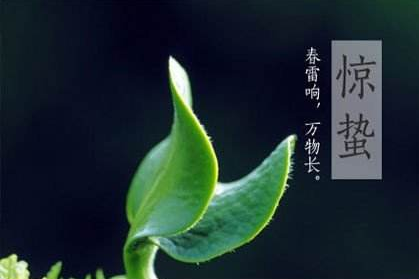 惊蛰吃什么传统食物1