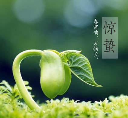 惊蛰吃什么好1