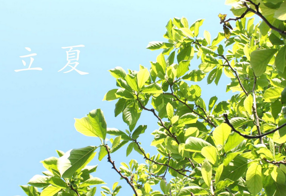 北方立夏吃什么1
