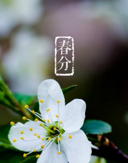 南方人春分节气吃什么1