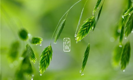有关描写谷雨的古诗1