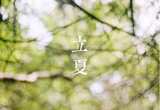 2017立夏节气是哪一天1