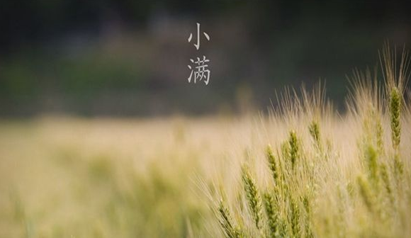关于小满的谚语1