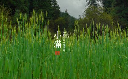 24节气小满是什么意思1