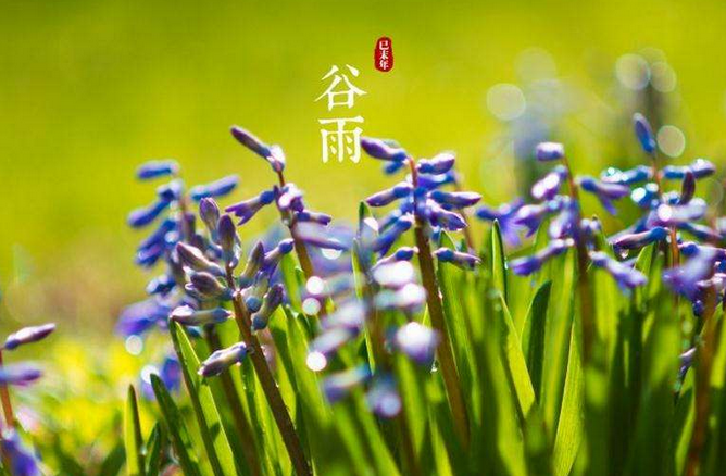 有关节气谷雨的谚语有哪些1