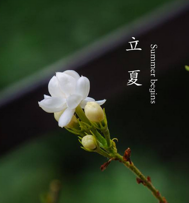 有关立夏的古诗词1