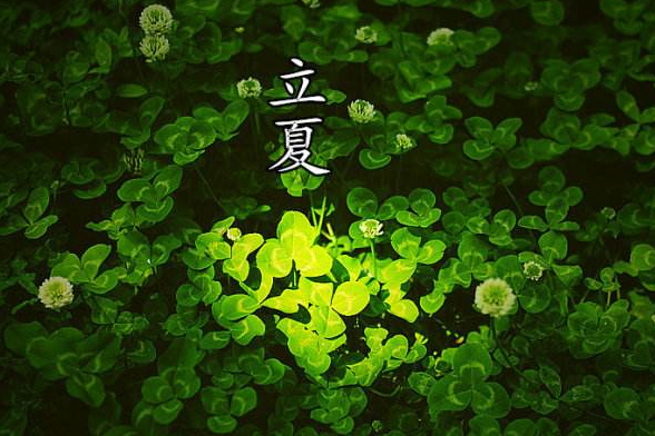 二十四节气之立夏古诗1