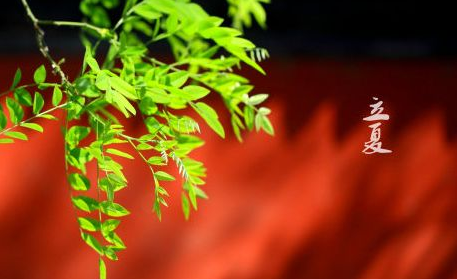 关于立夏诗歌1
