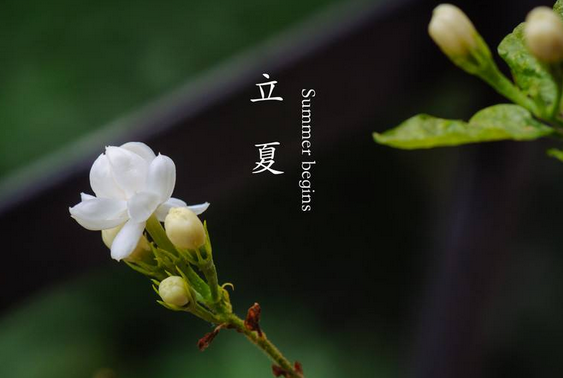 立夏节气诗歌1