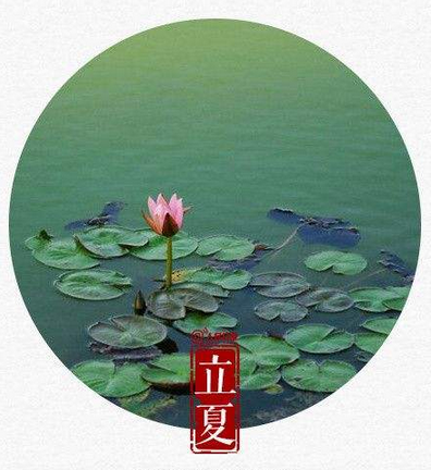有关立夏节气诗词有哪些1