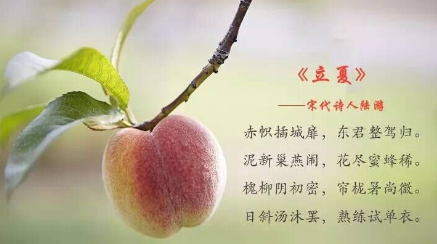 有关立夏的古诗大全1