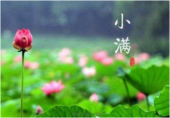 小满风俗特点有哪些1
