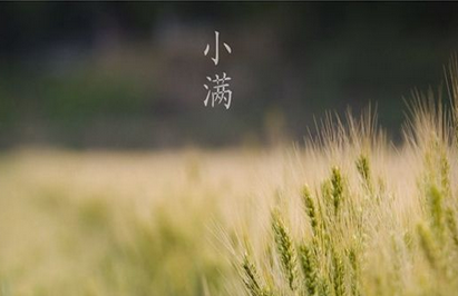 关于小满的古诗词1