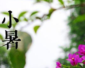 2017年小暑节气是什么时候1