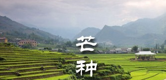 芒种节气谚语大全1
