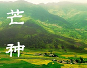 关于芒种节气的诗歌1