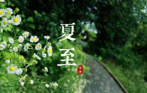 关于夏至的古诗词1