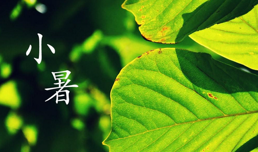 2017年小暑时间1