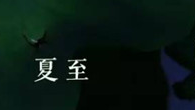 关于夏至的古诗1