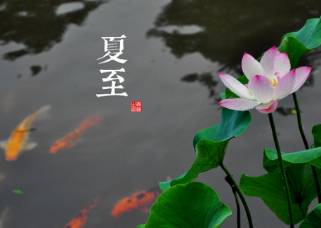 关于夏至的谚语大全1
