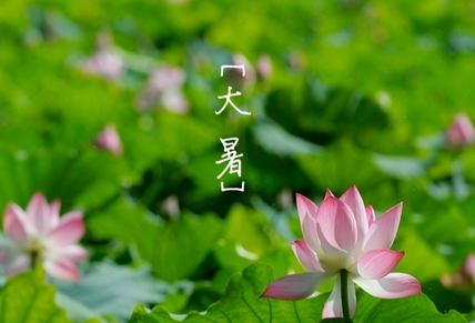 2017大暑是几月几日1