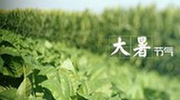 2017年大暑节气是几月几号1