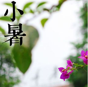 2017小暑节气是哪一天1