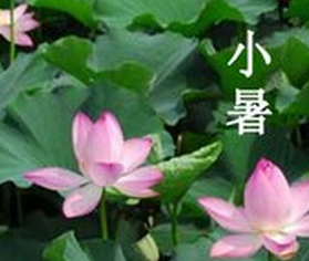 2017年小暑节气是几时几分1