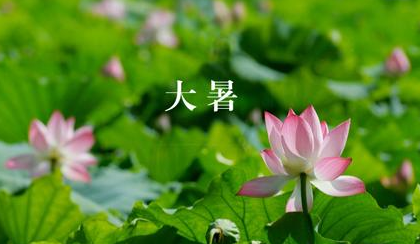 2017大暑节气怎么计算1