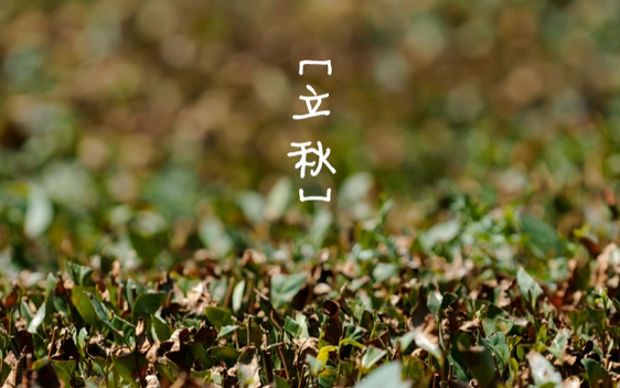 2017立秋是几点几分1