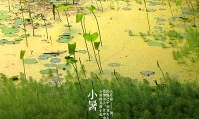 有关小暑的古诗1
