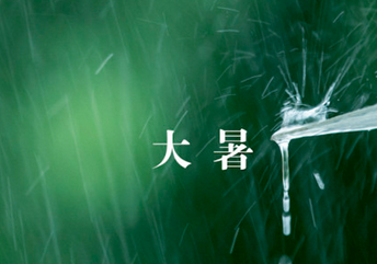 关于大暑的古诗1