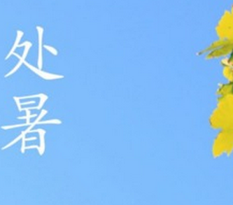 关于处暑的谚语大全1