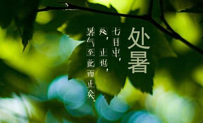 有关处暑的诗词1