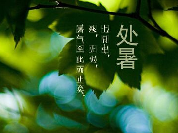 处暑这天吃什么1