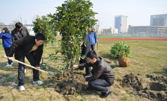 植树节是什么时候1