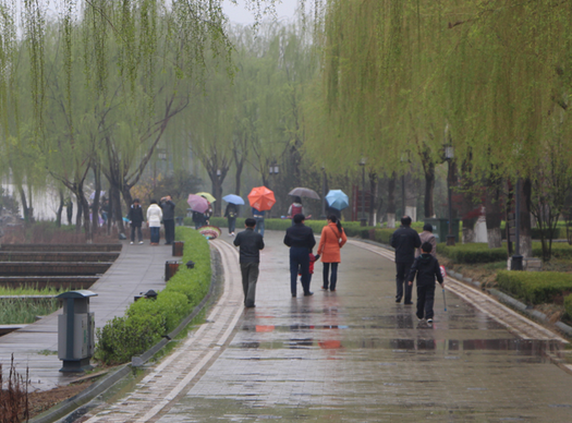为什么清明节总下雨1