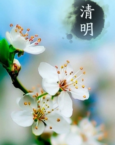 17年清明节会放假吗1