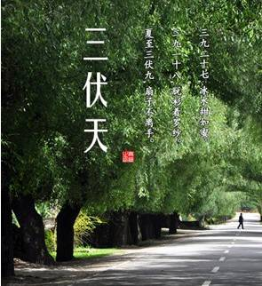 2015三伏天从什么时候开始1