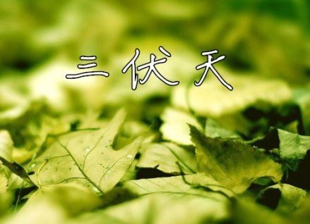 2015年三伏天时间1