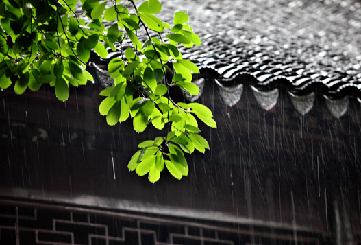 2015南方何时是梅雨季节1