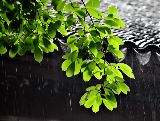 2015杭州梅雨季节是什么时候1