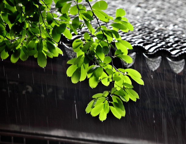 2015宁波梅雨季节什么时候1