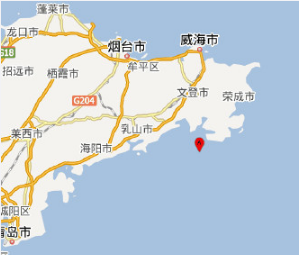 青岛地震了吗1