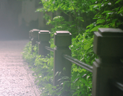 2015江南梅雨季节是什么时候1