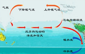 2015厄尔尼诺对中国的影响1
